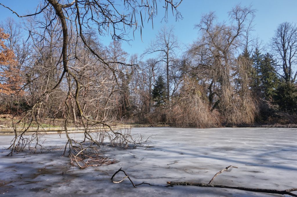 botanical garden frozen lake